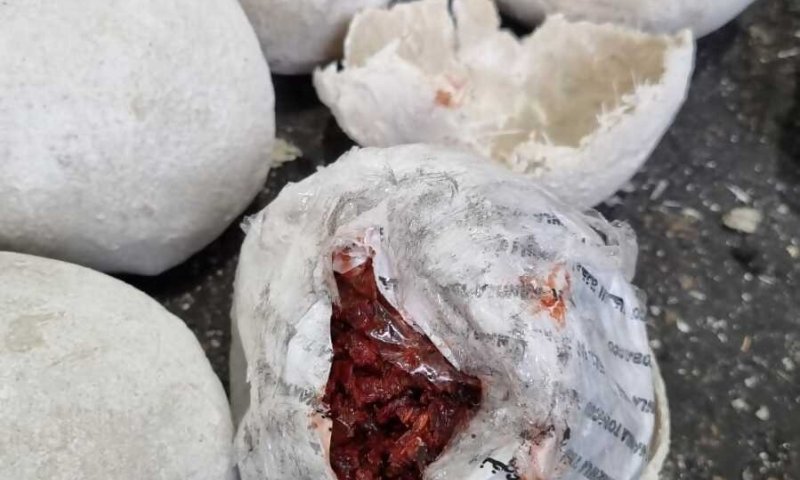 בודקי המכס לא האמינו: זה מה שנתפס בתוך חלוקי נחל