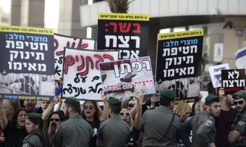 חוק יסוד צער בעלי חיים- השוואה בין האדם לבהמה