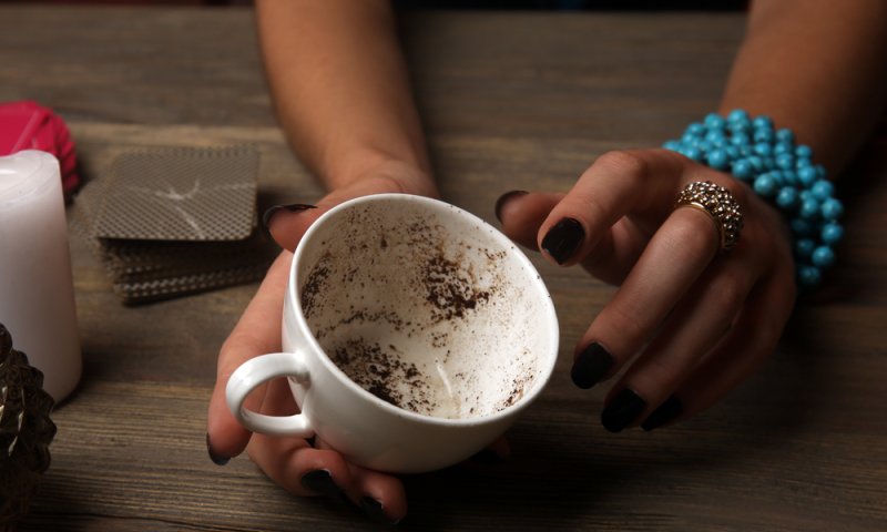 חשד: קוראת בקפה של סלבס וח"כים העלימה מס