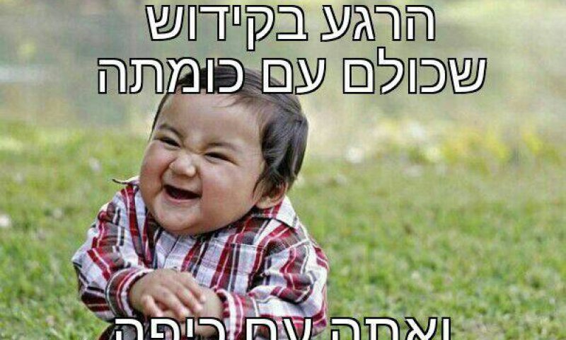 חדש בפייסבוק: הבייני"שים מצייצים