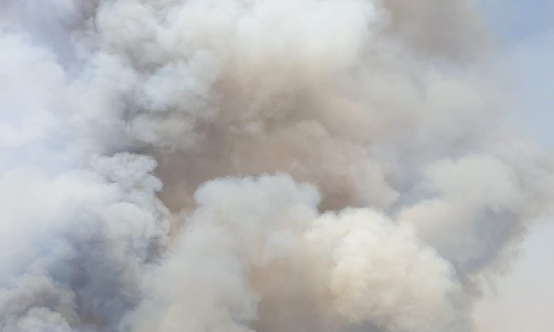 השריפה בסמוך לנהר הירדן: 10 מטוסי כיבוי בפעולה