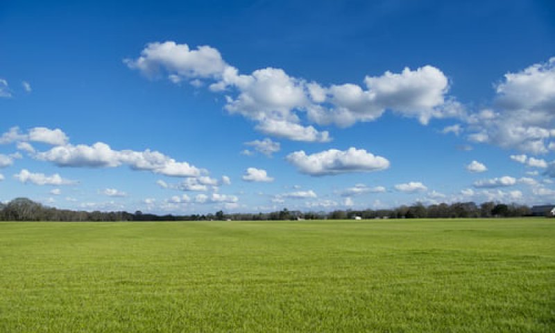הטמפ' מטפסות; מעונן ויבש: תחזית מזג אוויר לסופ"ש