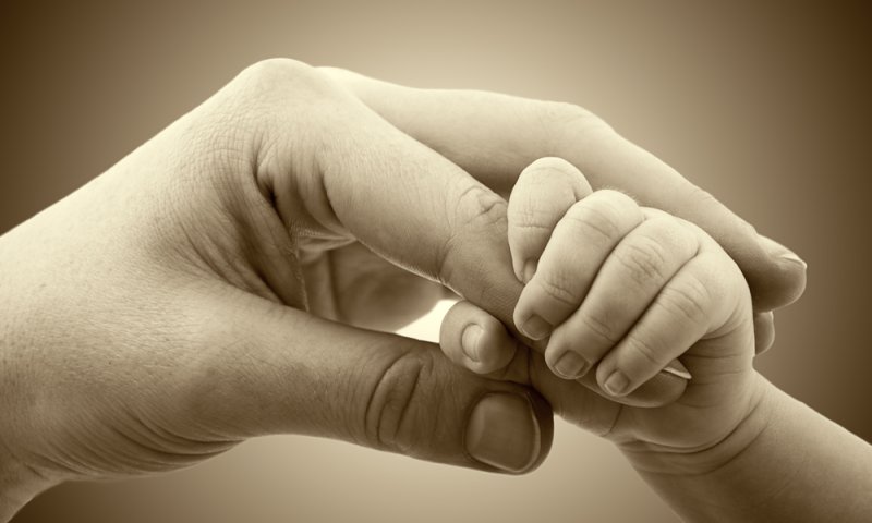 הבית היהודי: "נגיש ערר כנגד חוק הפונדקאות"