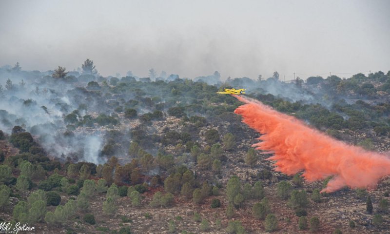 לאחר מאבק: הושגה שליטה על השריפה בצור הדסה