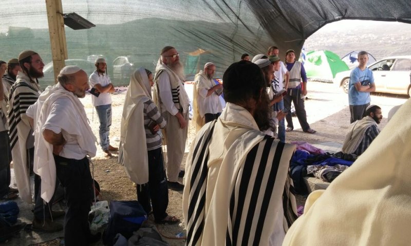 ישוב חדש עלה בשומרון &ndash; אביתר