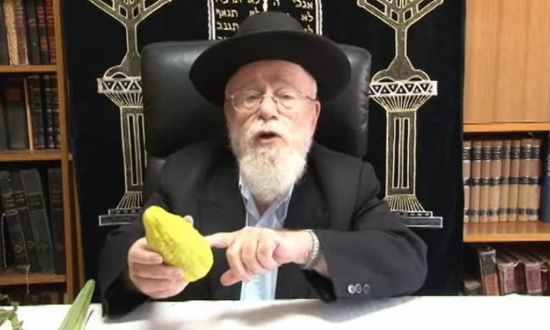 כיצד לבחור את ארבעת המינים?