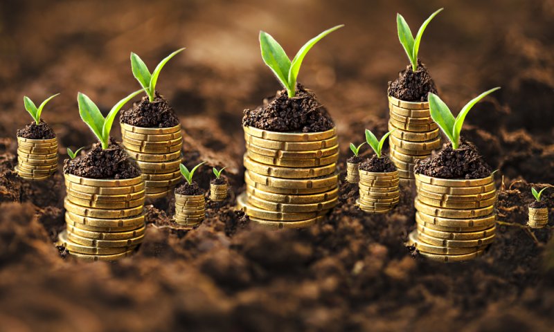 שנחתם בספר פרנסה וכלכלה: 10 צעדים כלכליים לשנה החדשה