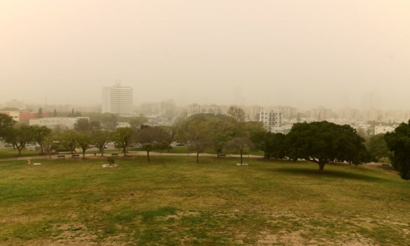 החום יתגבר; אובך, שרב וסופות חול: תחזית מזג אוויר