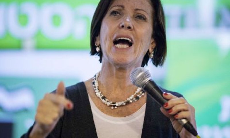 גלאון: חקירת צוק איתן &ndash; קריקטורה של חקירה