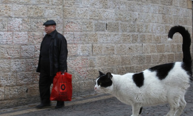 דעה: אורי אריאל צריך ללמוד מהשמאלנים
