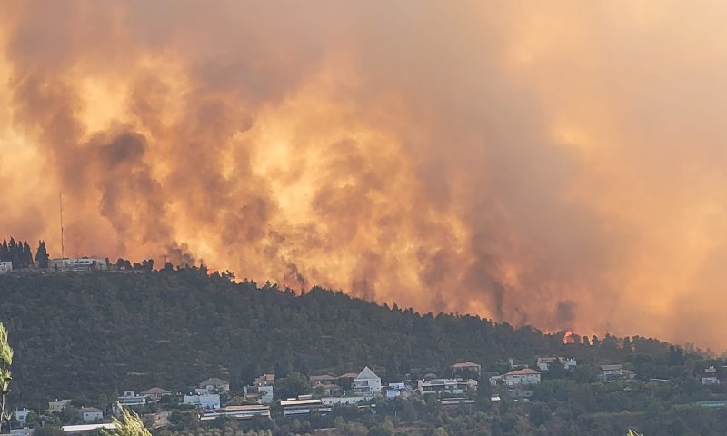 השריפה בי-ם:הנתון שמעלה את החשד להצתה מכוונת