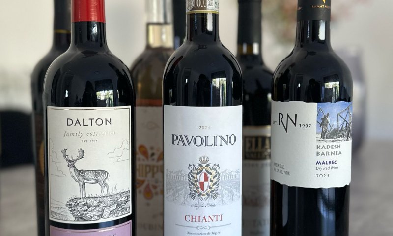 עושים סדר: אלו היינות המומלצים לחג הפסח