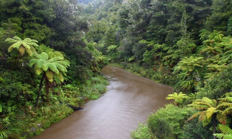 טרגדיה בניו זילנד: מטייל ישראלי נסחף בנהר ונהרג