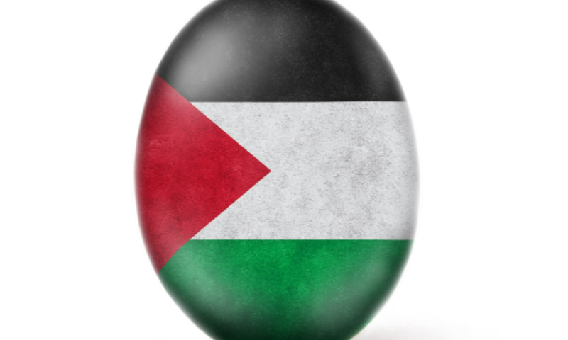 עם דגל פלסטין: הביצה באינסטגרם מנסה לשבור שיא חדש