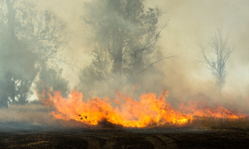 "לאור השקט"? שלוש שריפות פרצו בעוטף עזה