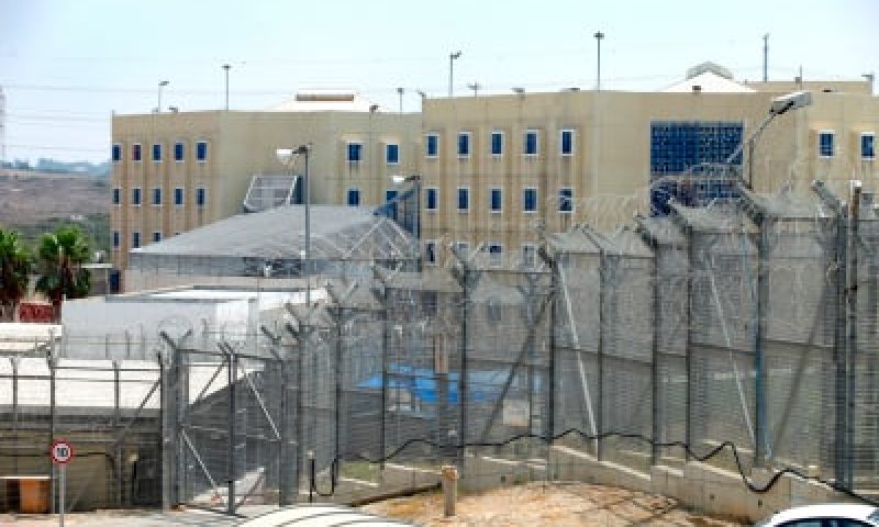 פרשת נצבים: ובחרת בחיים למען תחיה