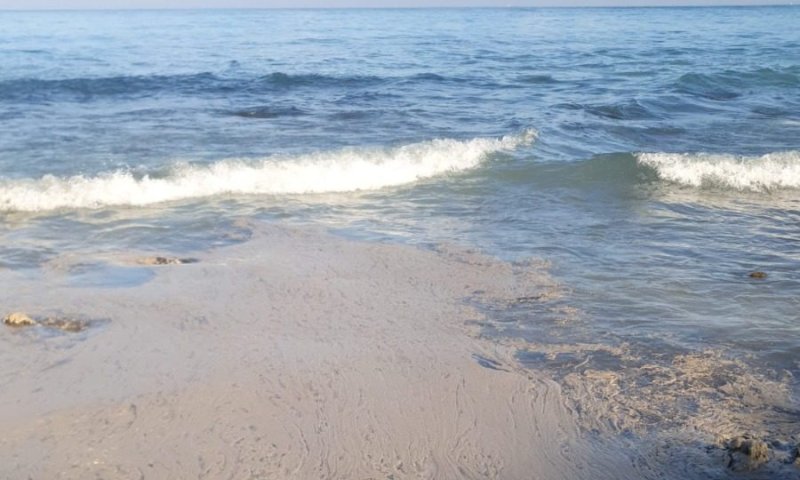 המשרד להגנת הסביבה: כתם שמן חשוד אותר בימה של אשקלון