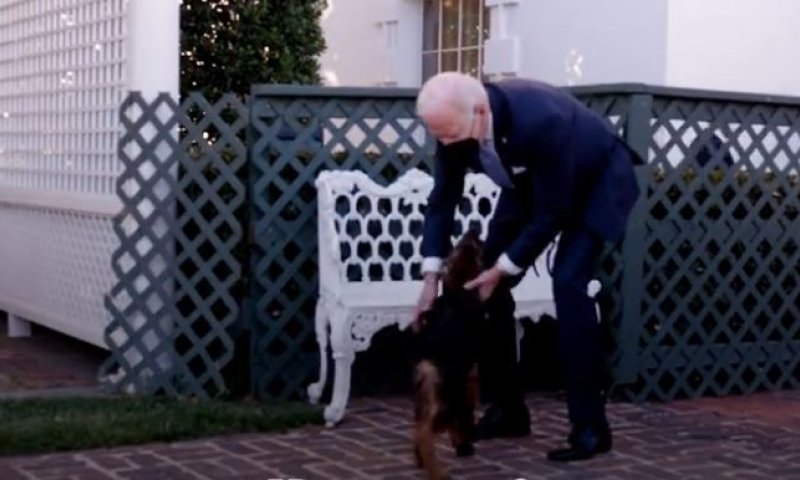 דייר נוסף בבית הלבן: החבר החדש של משפחת ביידן