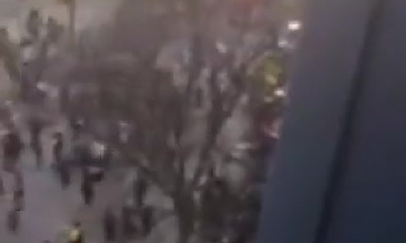 חשד במשטרה: הדורס מארה"ב "ברח מזירת פשע"