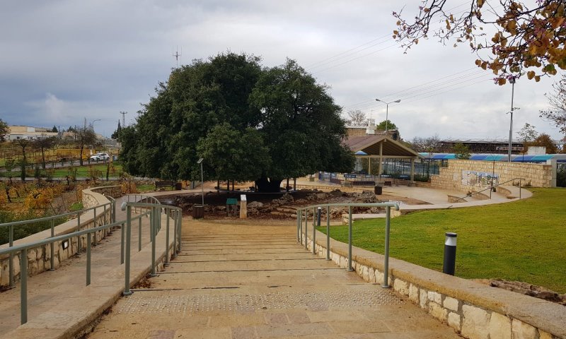 תלמידי גוש עציון מציינים יום שיא בנושא מורשת הגוש