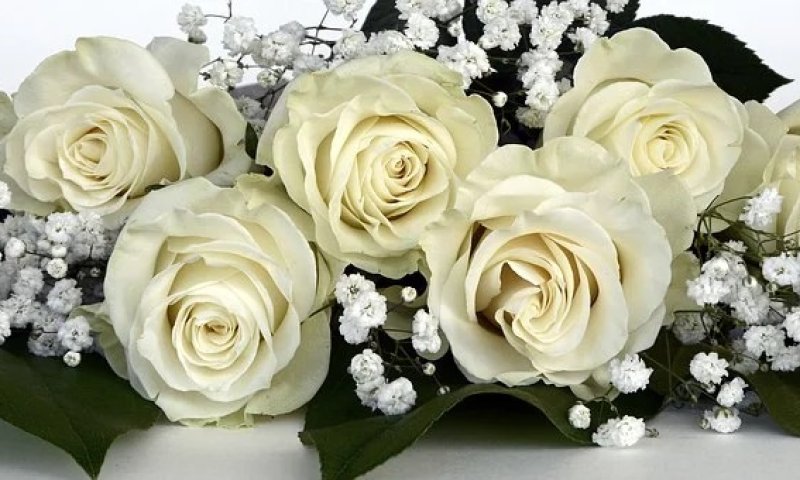 טריומף &ndash; הפריט הראשון לשמחה שלך