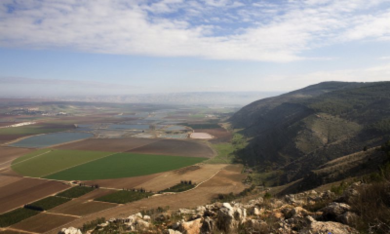 ערב ראש השנה אוכלוסיית ישראל: 8.081 מיליון נפש