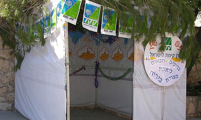 קרן קימת לישראל הקימה סוכות כשרות ביערות