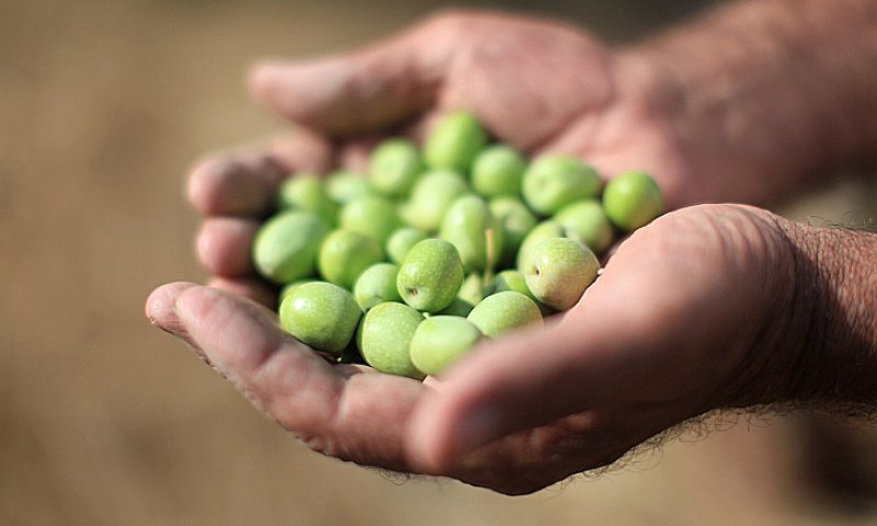 כמה היא באמת המידה "כזית"? צפו בשיעור