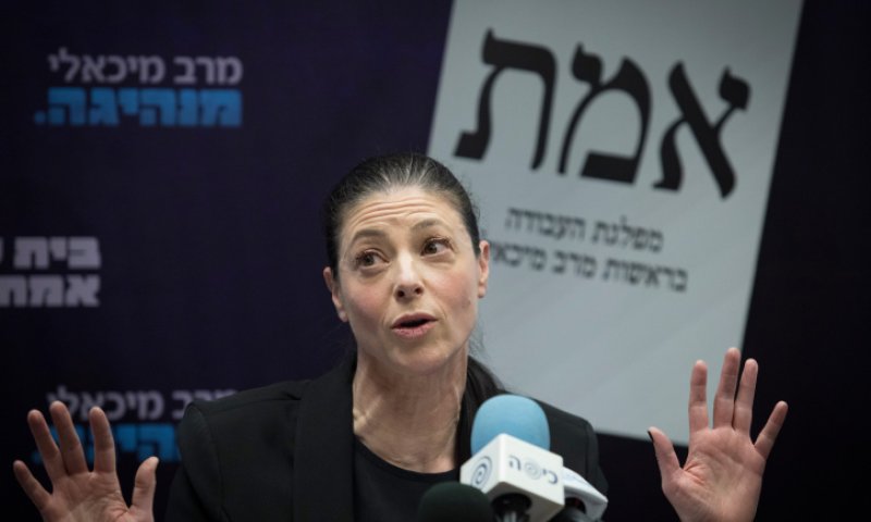 מיכאלי הציגה פשרה הפוכה בוועדה, שקד סרבה