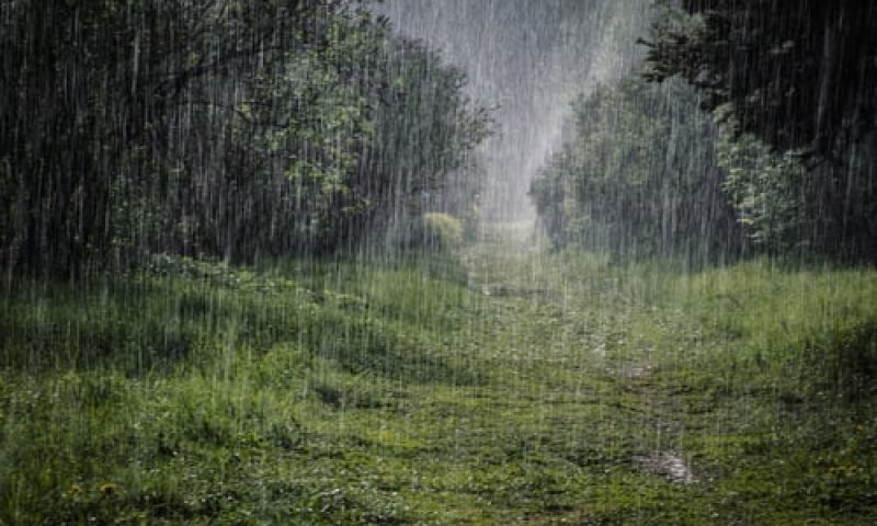 גשום וסוער; רוחות עזות, שלג, ושטפונות: תחזית מזג אוויר