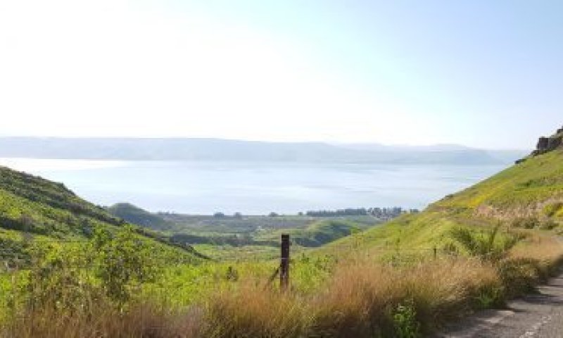 למרות הגשמים הכבדים: מפלס הכנרת מאבד גובה
