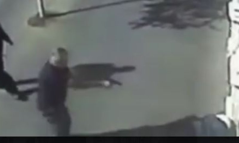 מועלם: "חקירת השוטר שירה במחבלת &ndash; איוולת"