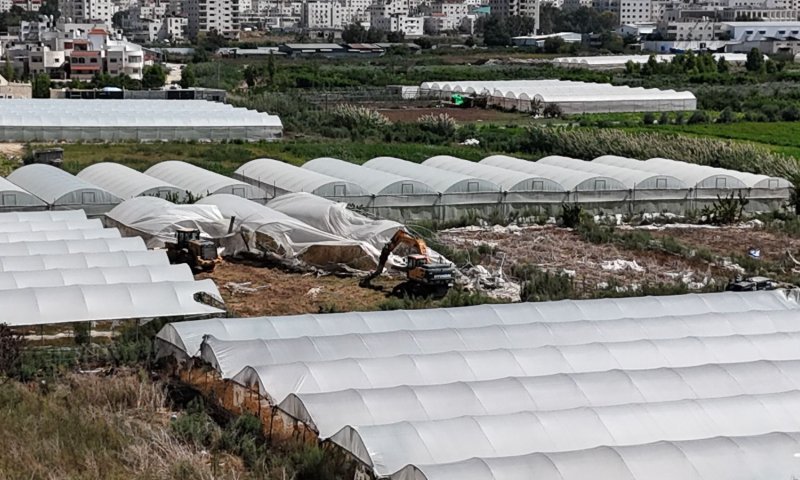 נהרסו חממות פלסטיניות שנבנו ליד בת חפר