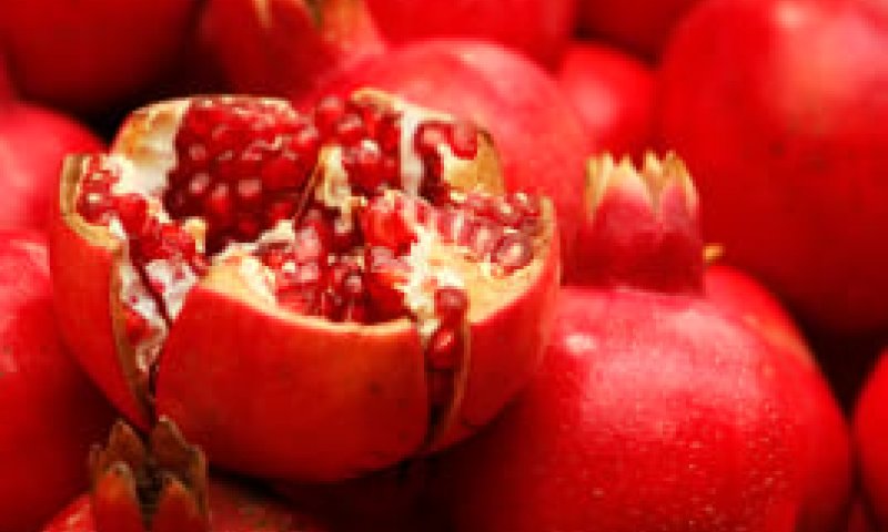 סימני ראש השנה: זהירות, הם עלולים להכיל חרקים