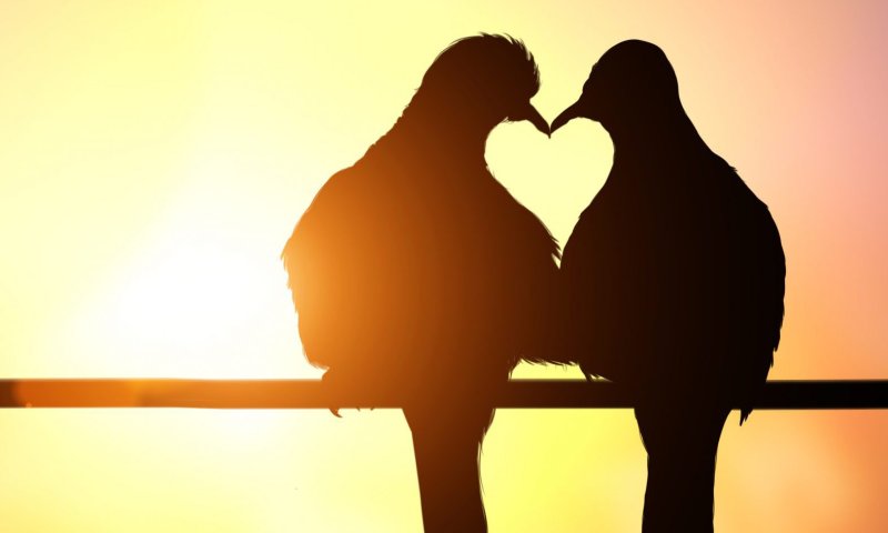 לא רק ט"ו באב: כל יום הוא יום לאהבה