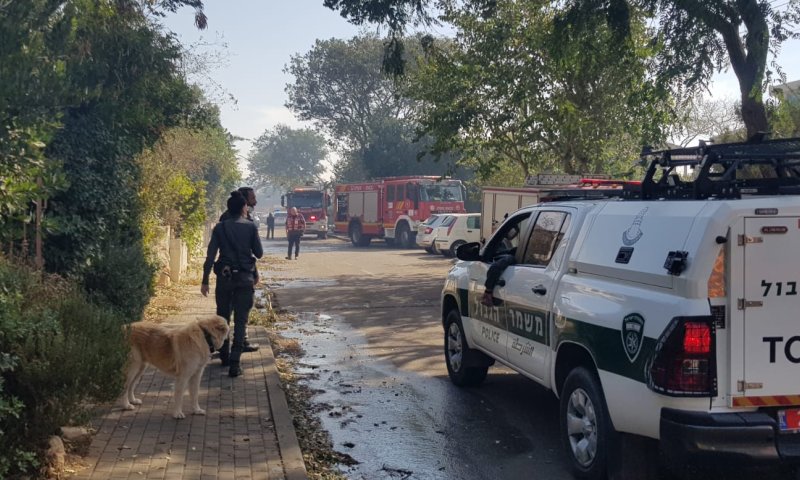 גל שריפות בשבת, חשד: חלק נגרמו מהצתה