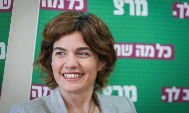 מכה לזנדברג: במרצ ילכו לפריימריז לראשות המפלגה