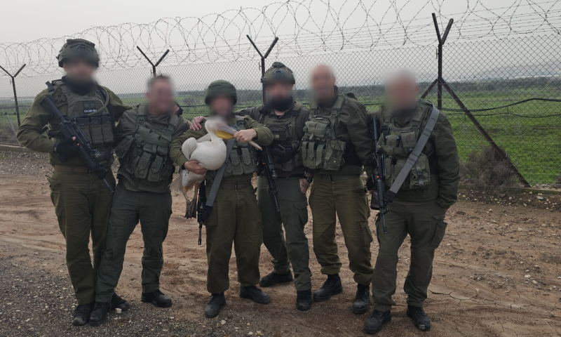 חיילי מילואים במבצע חילוץ מרגש: שקנאית פצועה הועברה לשיקום