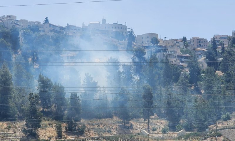 שריפה פרצה סמוך לכביש 16 בירושלים | תיעוד