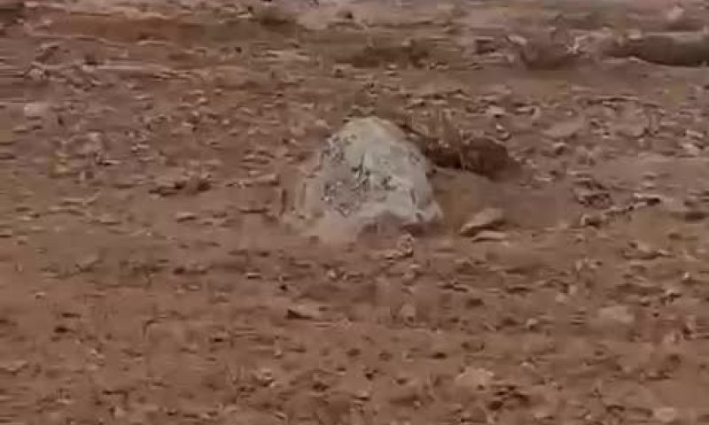 בפעם השנייה בתוך יומיים: ערבים תקפו רועי צאן בהר חברון