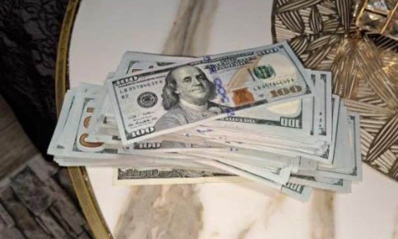 נעצרה חולייה של סטודנטים פלסטיניים שתיכננה פיגוע