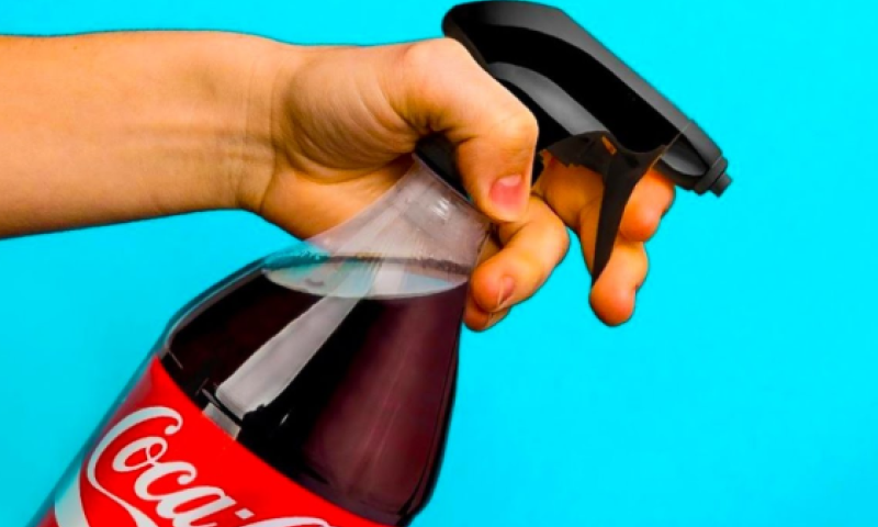 מקולה עד אורז: המאכלים שתוכלו גם לנקות איתם