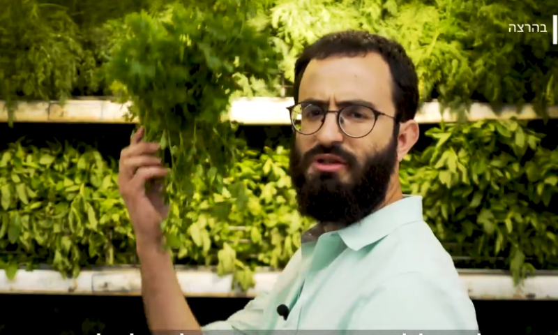 למה לאסור אכילת עגבניות בפסח זה רציונלי? צפו