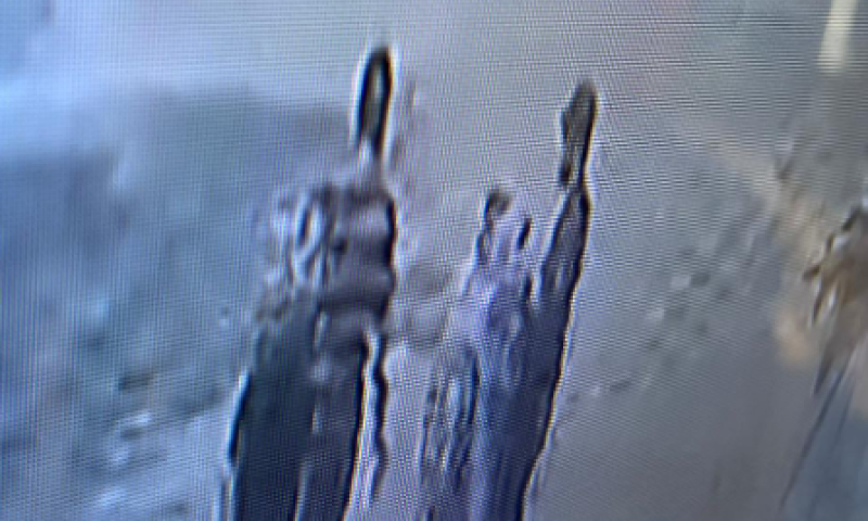 משפחת ביבס מגיבה לתיעוד: "רוע מפלצתי"