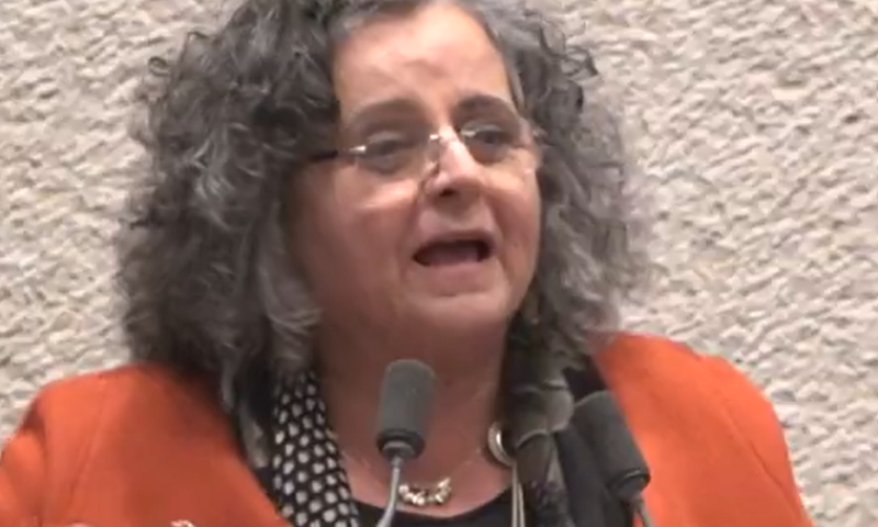 עאידה סולימן או עידית סילמן: הטעות המביכה של העיתונים הערבים