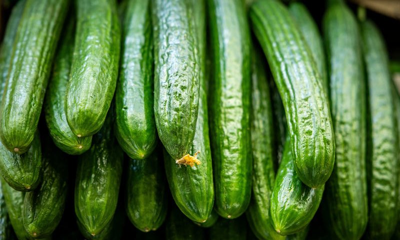 סכנה חמורה: הלקוחה חתכה מלפפון; זה החפץ שהוחבא בתוכו