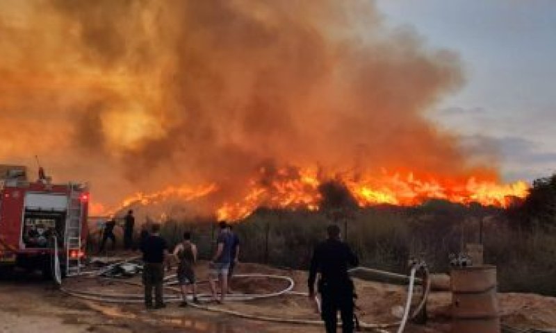 בלתי נתפס:הנתונים מאחורי טרור הבלונים נחשפים