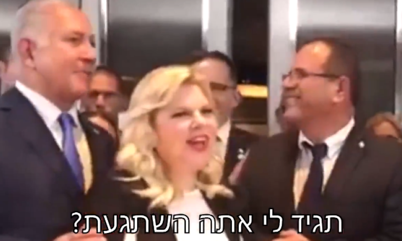 "איוב אתה השתגעת?" צפו ברמיקס של נוי אלוש:
