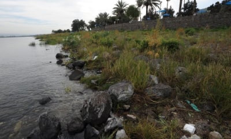 חוף כינר יחזור לפעילות בתוך מספר ימים