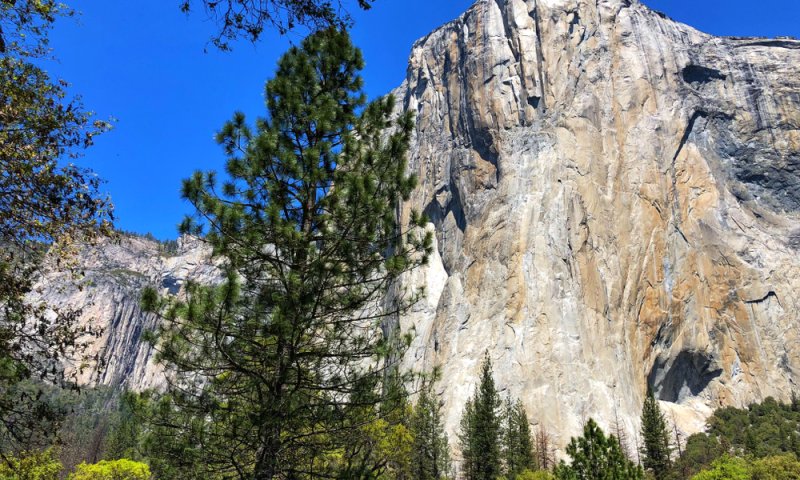 טרגדיה בארה"ב: טיפסו על צוק- ונפלו אל מותם